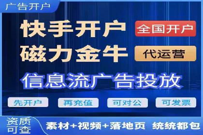 SEM推广实战：案例分析及效果评估